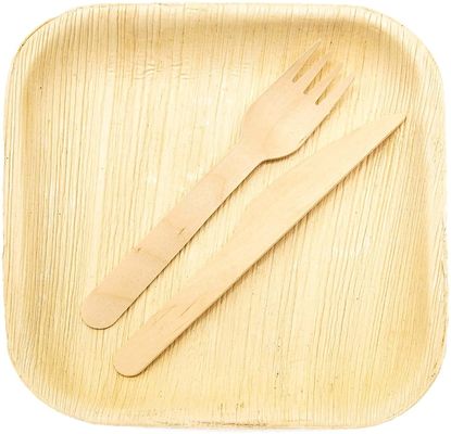 Eco-vriendelijk 20 pakketten biologisch afbreekbare palmbladen 10 inch vierkant stevig als bamboe wegwerp elegant