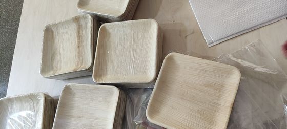 Eco-vriendelijk 20 pakketten biologisch afbreekbare palmbladen 10 inch vierkant stevig als bamboe wegwerp elegant
