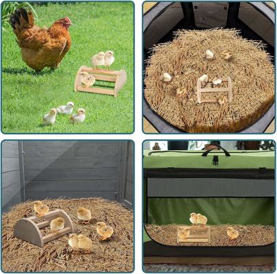 202405 Sterke dikke houten rooster voor vogels en broeders Langdurig