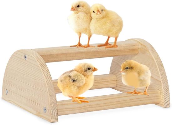 202405 Sterke dikke houten rooster voor vogels en broeders Langdurig