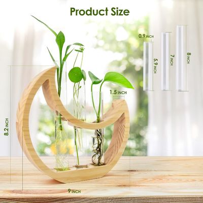 Verjaardag Crescent Moon Tafel Stand voor binnenshuisplanten en kantoordekor