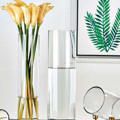 Moderne stijl Elegante ronde heldere glazen vaas voor huisversiering