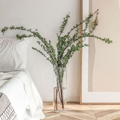 Persoonlijke huishoudelijke artikelen Grote heldere glazen vaas voor alle seizoenen decoratie 10-20 cm in diameter