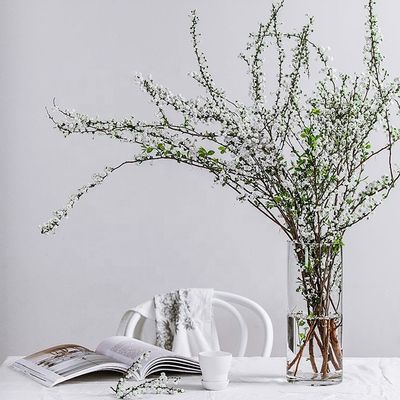 Persoonlijke huishoudelijke artikelen Grote heldere glazen vaas voor alle seizoenen decoratie 10-20 cm in diameter