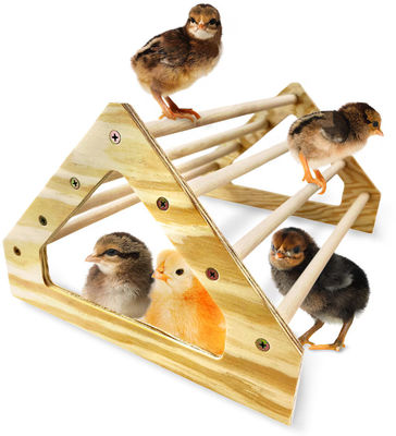 Grijze kippenperk Sterk Houten Jungle Gym Roosting Bar Kip speelgoed voor Coop en Brooder