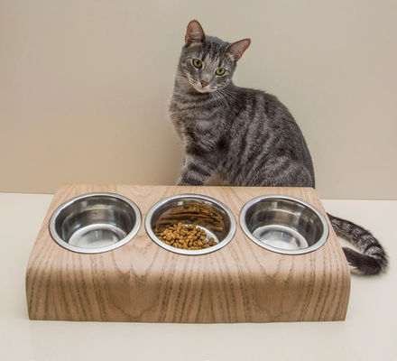 Schalenvoeder Type bekers Pails Triple Bowl Pet Feeding Stand met verhoogde moderne voeder