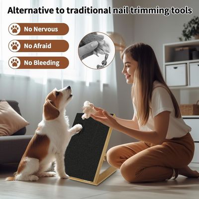 Cat/Dog Scratch Pad met afneembare deksel en verstelbare nagelfilet in verschillende hoek