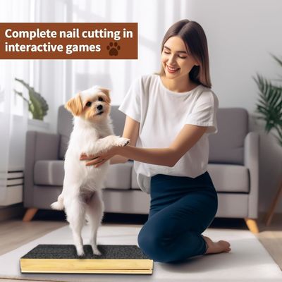 Cat/Dog Scratch Pad met afneembare deksel en verstelbare nagelfilet in verschillende hoek