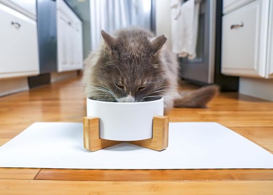 Houtstand verstelbaar Massivhouten huisdier Kattenhond Voedselschaal Huisdierenvoerders zonder tijdinstelling