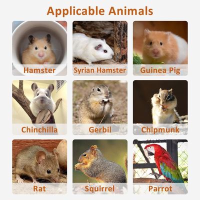 Hamster staande platform oefen speeltje kooi accessoires met push-up sluiting type