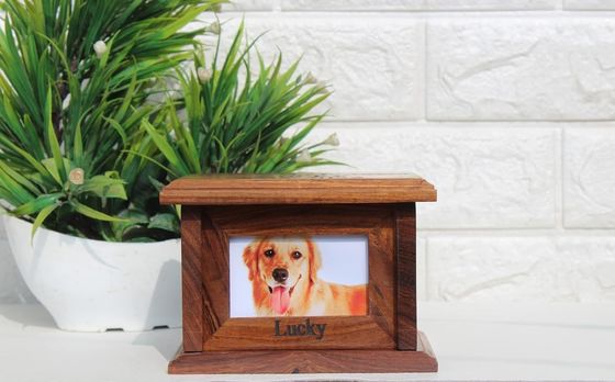 Kistjes voor huisdieren Urnen Houten souvenirdoos voor het liefdevol opslaan van as van geliefde hond of kat