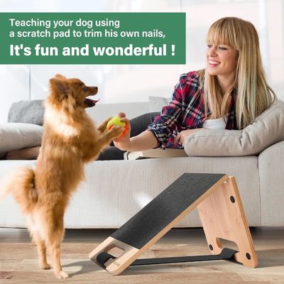 Vreesvrije nagelverzorging voor honden Ruimtebesparende schraapblok met aangepast logo en verstelbaar ontwerp