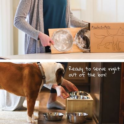 Middelgrote hondenopgeheven schaalstand 7 opgeheven schalen huisdiervoeder met vier roestvrijstalen schalen