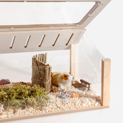Horlogekist Custom Hamster Hideout Hout Huisdiermeubelen Speelhuis Solid Patroon voor kleine huisdieren