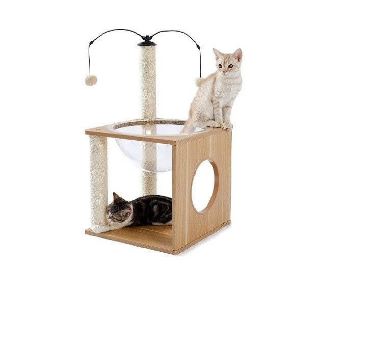 OEM ODM Geaccepteerd Elegant Katten Boom Ruimte Capsule met Drijvend Nest en Hangende Ballen