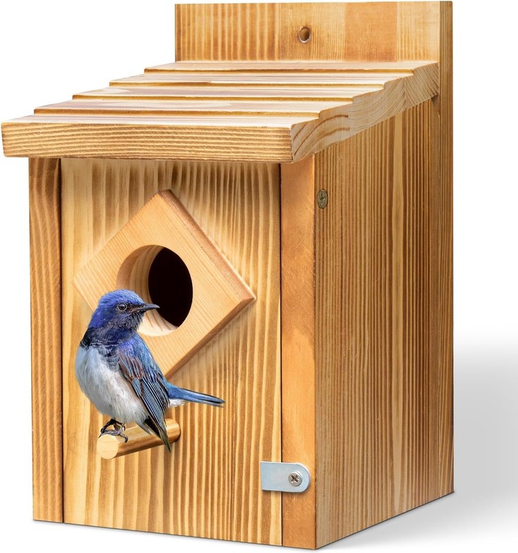 Bluebird nesting box met houten constructie en waterdichte spuitverfbehandeling