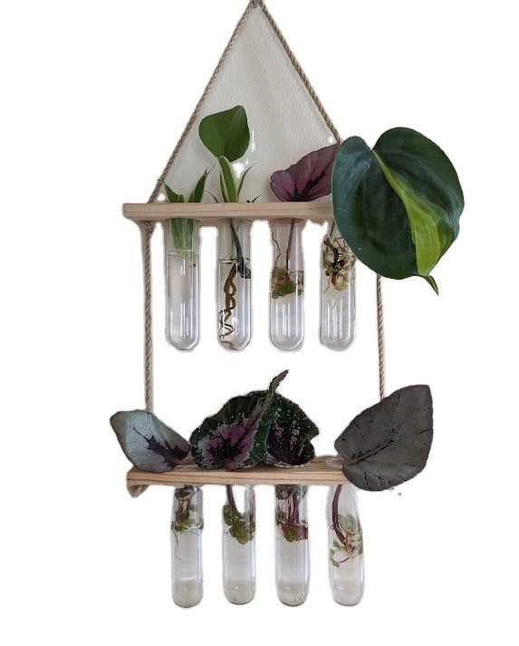 202407 Plantenvermenigvuldigingsstation voor OEM-hydroponische vaasgroeiplanten Starterstation