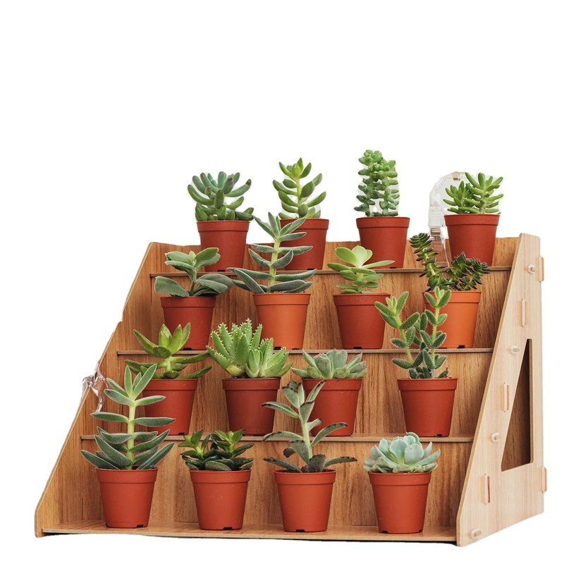 Functionele houten cupcake stand voor het weergeven van cakes en planten Proefproef gratis