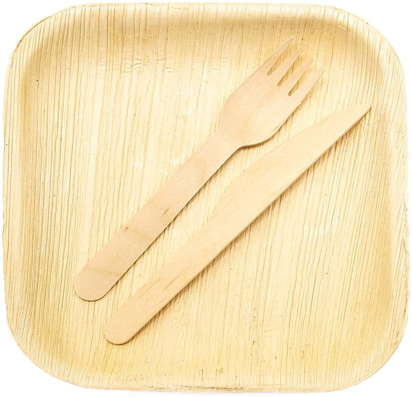 Eco-vriendelijk 20 pakketten biologisch afbreekbare palmbladen 10 inch vierkant stevig als bamboe wegwerp elegant